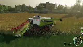 Поле золота: Claas Lexion 7700 против рапса