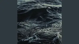 Momentum