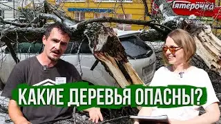 Опасные Деревья: Проблемы и Решения