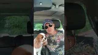 Анекдот. Балаболы...