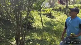 o poder da natureza. criada por Deus...