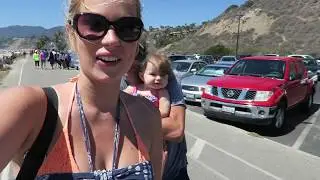Beach Trip!