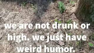 Throwing Giant Marshmellows At Trees