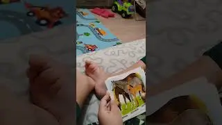 Учим животных мам, пап и их детенышей.