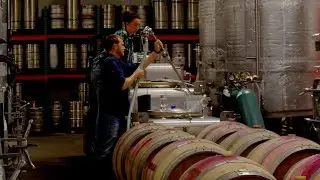 Accenti Wines | Regenerative Winemaking in Napa Valley