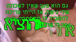 למה לא אשתמש יותר בשרותי חברת השליחויות תמנון