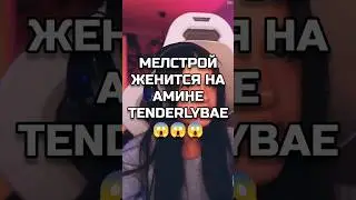 #shorts #mellstroy #амина #tenderlybae