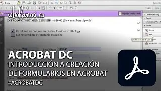 Introduction to creating forms in Acrobat DC