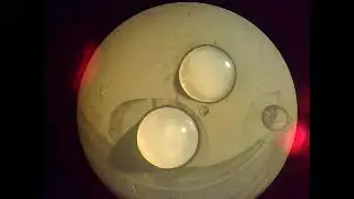 Заморозка двух капель воды