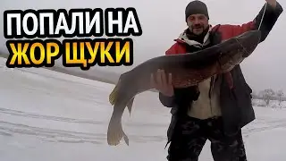 ПОПАЛИ НА ЖОР ЩУКИ!!! ЩУКА НЕ ЗАСТАВЛЯЛА СЕБЯ ЖДАТЬ!!! НЕЖДАНЧИК В КОНЦЕ РЫБАЛКИ!!! ЛЁД 2023.
