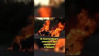 Экоактивисты против Илона Маска