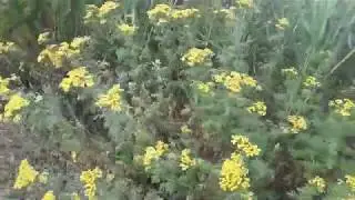 Село Приморка _ Азовская глубинка