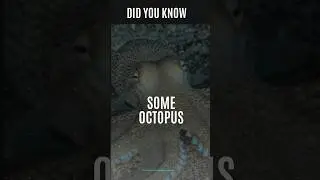 unbelievable fact about octopus 🐙#youtubeshorts #mindblowingfacts