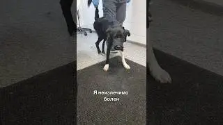 Я неизлечимо болен💔