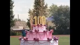 Ромашковые поля