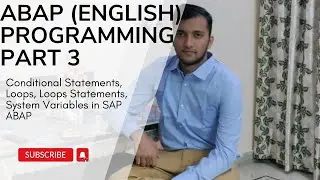 E3.3  Conditional Statements, Loops, Loops Statements, System Variables in SAP ABAP