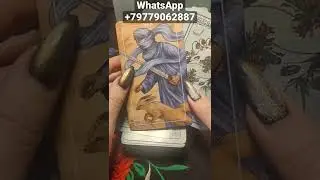 +79779062887 WhatsApp 