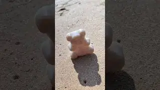 ВОСКОВОЙ МЕДВЕДЬ БОРЯ НА ПЛЯЖЕ🏖️