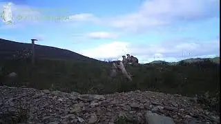 ID2831/Сохондинский заповедник/Эх канат бы нам а то всё толкаемся и толкаемся