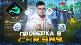 Вернулся в семью ChR-sns ❤️ и стал лучшим проверяющим 🙄