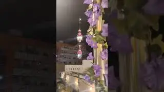حیدر ❤علی لافتاحیدر 💐 #live #viral #molaali