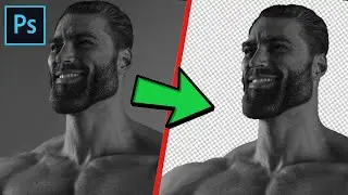 How to cut out an image - remove the background with Photoshop
