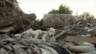 Thank You, Hope For Paws