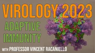 Virology Lectures 2023 #14: Adaptive immunity