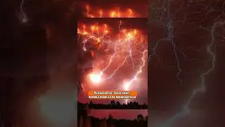 Больше фактов найдёшь в телеграм, ссылка в комментариях ✅ 