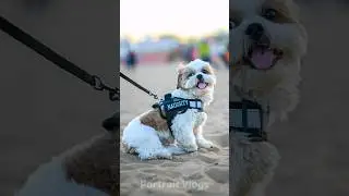 street photography | Beach photography| #streetphotography #photoshoot #portraitphotography #nikonz5