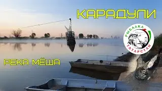Карадули - заброшенная церковь!  26.08.2021 Отличная рыбалка!!! (Karaduli is an abandoned church!)