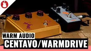 Wie klingen die neuen Effektpedale von Warm Audio? | WARM AUDIO Centavo / Warmdrive | MUSIC STORE