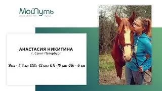 Отзыв Анастасии Никитиной, ученицы школы "Мой Путь"