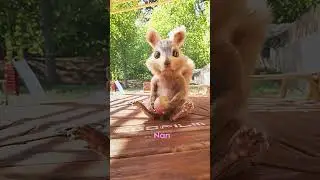 Do you love me? 🥹💗🖕