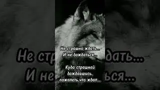 15 апреля 2024 г.