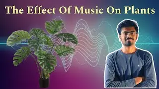The Effect Of Music On Plants🌳☘️