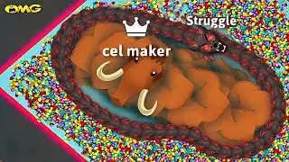 snake.io🐍Wild snake skin🐍Wild snake party,Zero to Hero gameplay||Snake Struggle