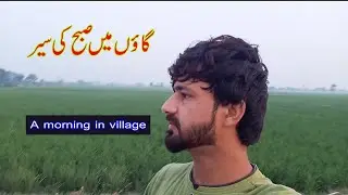 Morning Walk In Village Life | Summer Vlog 🔥| #summershorts
