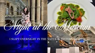 I SLEPT OVERNIGHT IN THE NATURAL HISTORY MUSEUM 🦖 DINOSNORES | Hello Miss Jordan