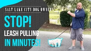 Leash Training for Utah Dog Owners