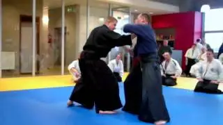 Fudoshin ryu Aiki Jujutsu Seminar Belgium