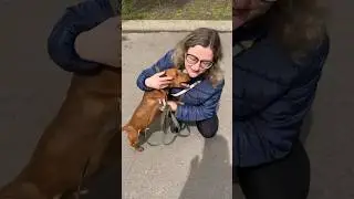 Вернулся домой после месяцев скитания 