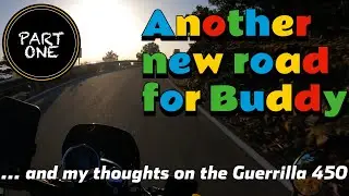 Royal Enfield Meteor 350 - Another New Road For Buddy - My Thoughts On The Guerrilla 450