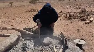 Diary of a nomadic family in the desert 