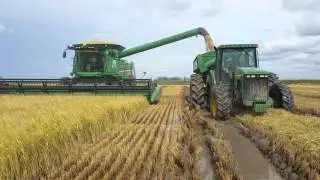 John deere s660 con draper 630f cosechando arroz