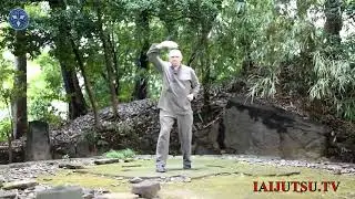 Ката Тэншо