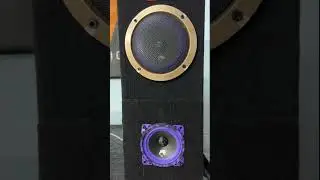 DL Audio Piranha 100 v2 (Тест)