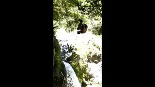 Jump Off Secret Hawaiian Waterfall!