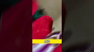 Bride on Rent: Shocking Practice in India