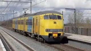 Treinen in Zaltbommel - 17 Maart 2019